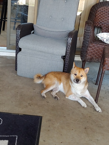 Gus