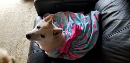 Luna
