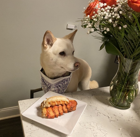 Miso
