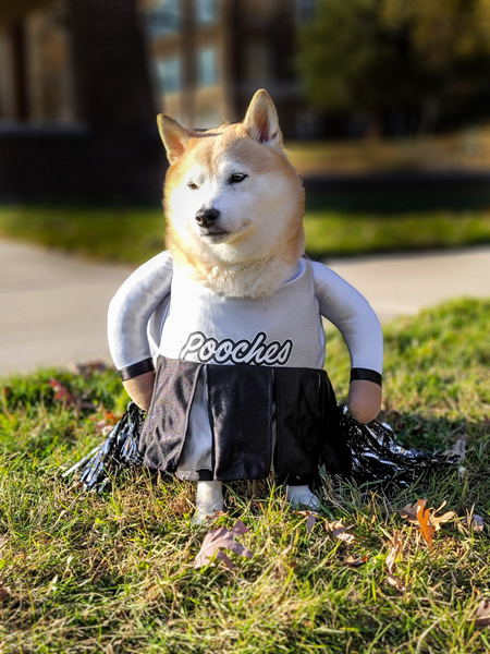 Suki