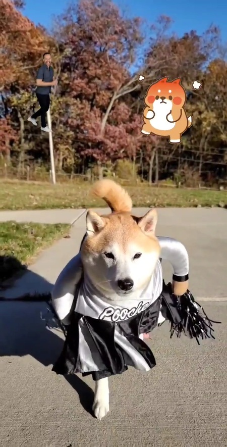 Suki