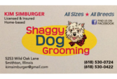 Shaggy Dog