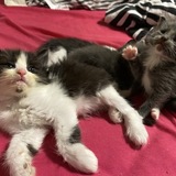 Entry image for Dean and Toast