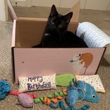 Entry image for Olive
