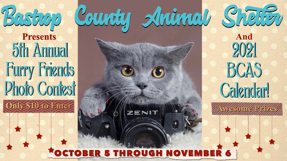 Banner for Bastrop County Animal Shelter Furry Friends Contest and 2021 Calendar