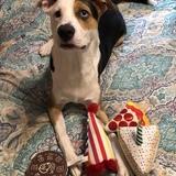 Entry image for Charlie 