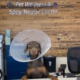 Entry image for Brandi