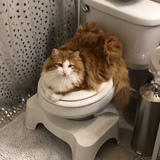 Entry image for Manny