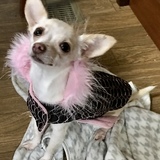 Entry image for Chloe