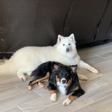 Entry image for Odin & Deetz