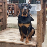 Entry image for Storm Daniel