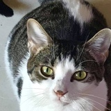 Entry image for Asia