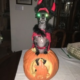 Entry image for Ruby