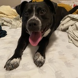 Entry image for Elliot Timothy McGyver