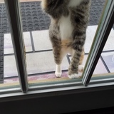 Entry image for Emma 