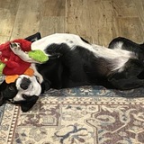 Entry image for Parvati