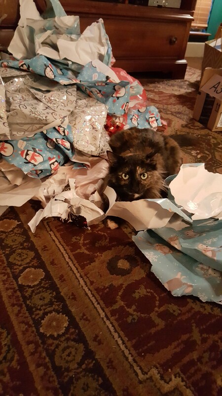 Entry image for Ewok. Clicking this image will show a larger photo