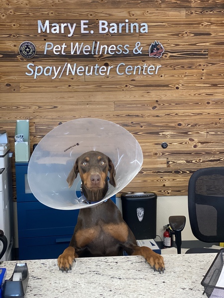 Entry image for Brandi. Clicking this image will show a larger photo