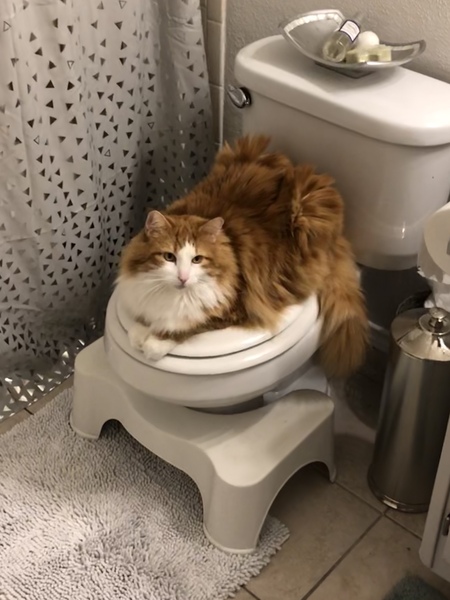 Entry image for Manny. Clicking this image will show a larger photo