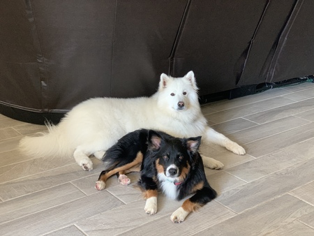 Entry image for Odin & Deetz. Clicking this image will show a larger photo