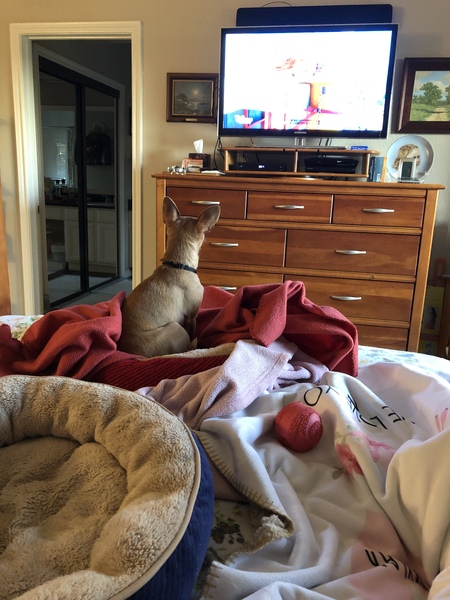 Entry image for Kobe. Clicking this image will show a larger photo