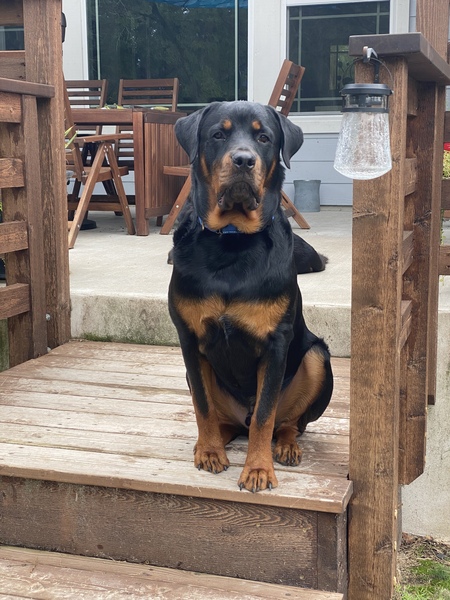 Entry image for Storm Daniel. Clicking this image will show a larger photo