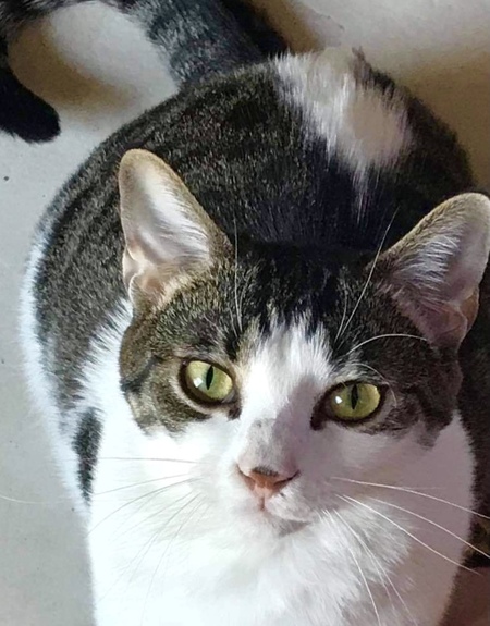 Entry image for Asia. Clicking this image will show a larger photo