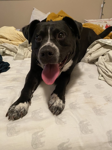 Entry image for Elliot Timothy McGyver. Clicking this image will show a larger photo