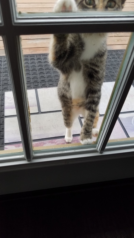 Entry image for Emma . Clicking this image will show a larger photo