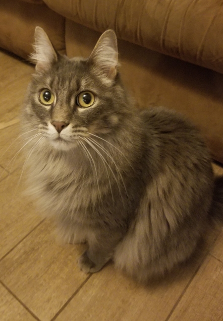 Entry image for Clue. Clicking this image will show a larger photo