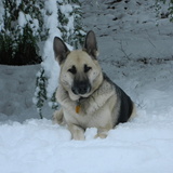 Entry image for Theresa