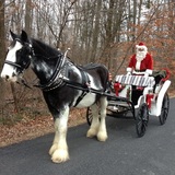 Entry image for Flash