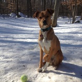 Entry image for Calli