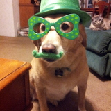 Entry image for Sasha