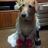 Entry image for Sasha