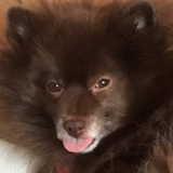 Entry image for Boone