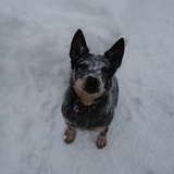 Entry image for Boss