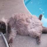 Entry image for Molly