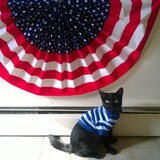 Entry image for Mica