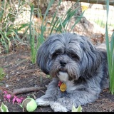 Entry image for Emma