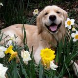 Entry image for Justin