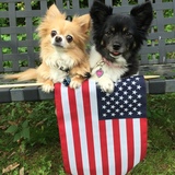 Entry image for Bailey and Karly