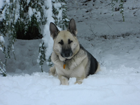 Entry image for Theresa. Clicking this image will show a larger photo