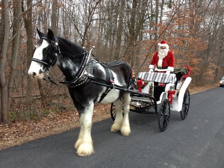 Entry image for Flash. Clicking this image will show a larger photo