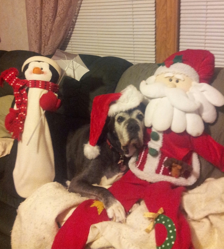 Entry image for Raider. Clicking this image will show a larger photo