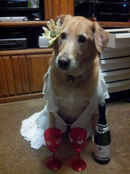 Entry image for Sasha. Clicking this image will show a larger photo