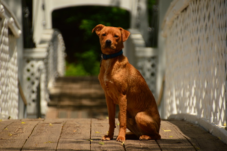 Entry image for Captain. Clicking this image will show a larger photo