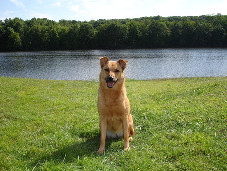 Entry image for Holly. Clicking this image will show a larger photo