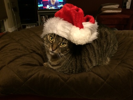 Entry image for Putty. Clicking this image will show a larger photo