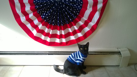 Entry image for Mica. Clicking this image will show a larger photo